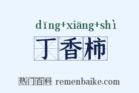 丁香柿是什么意思的图片